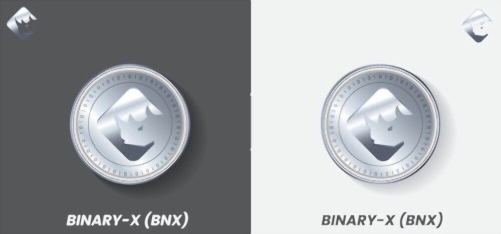 عملة BNX